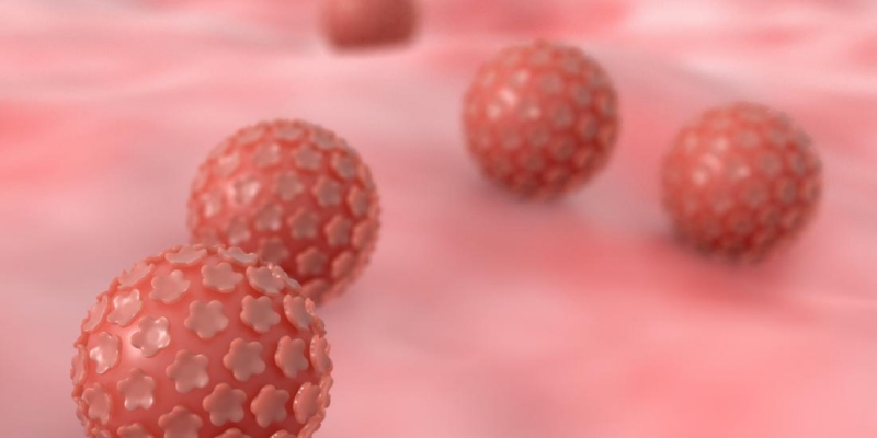 Hpv uomo si muore, Virus papilloma contagio, Traducere 